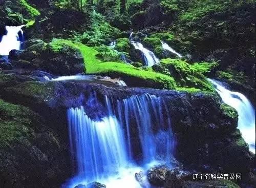 公主间的比拼